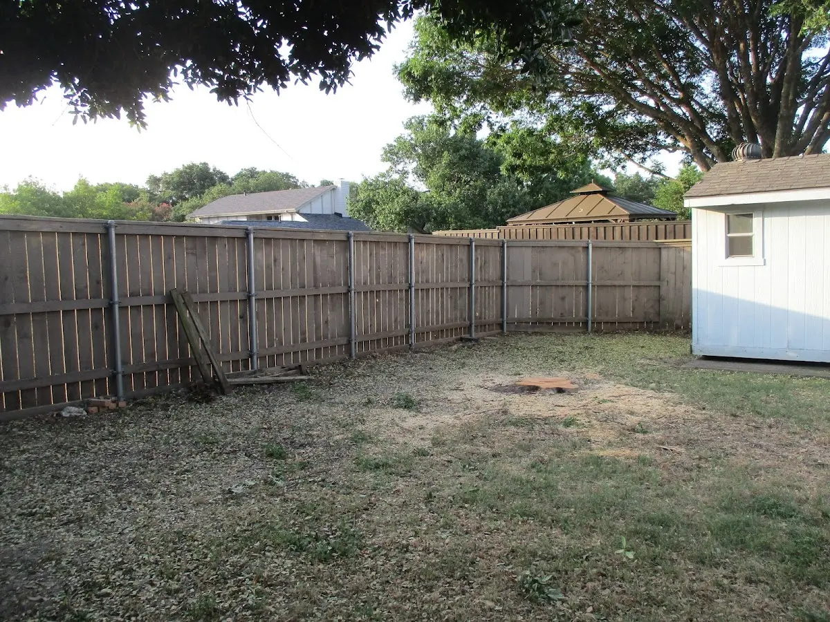 Cleared yard after professional tree removal in East Charleston