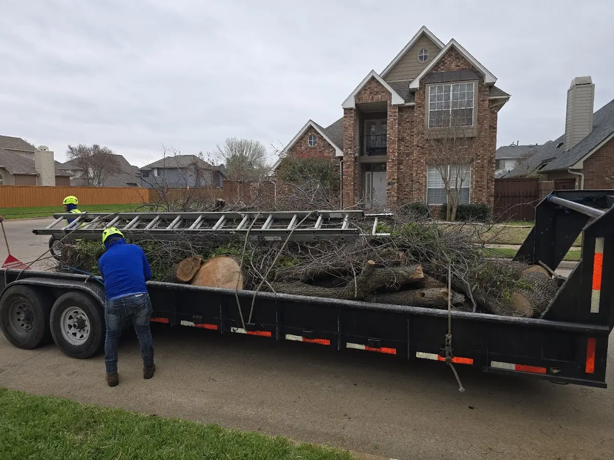 Expert Tree Pest Control with proper safety equipment in East Charleston